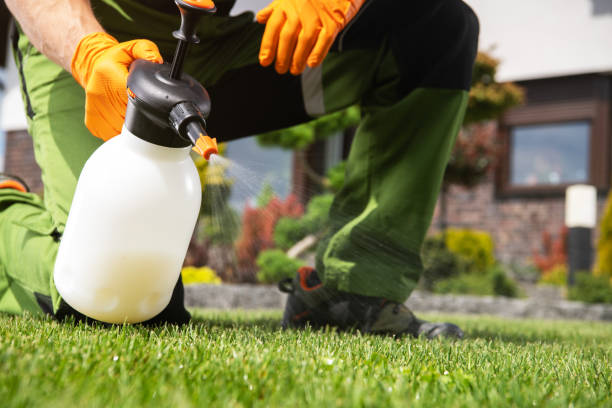 Best Best Pest Control Companies  in Fairbury, NE