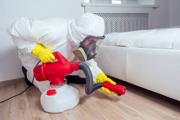 Best Affordable Pest Control Services  in Fairbury, NE