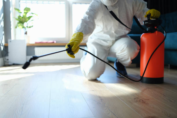 Best Pest Control Near Me in Fairbury, NE