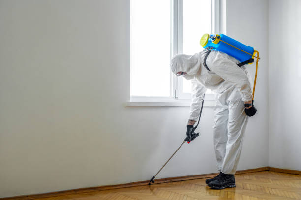 Best Termite Control Services  in Fairbury, NE