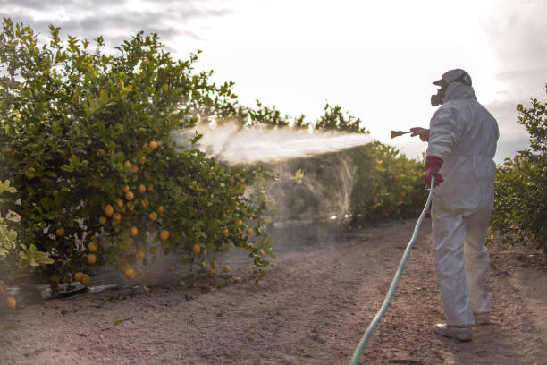  Fairbury, NE Pest Control Pros