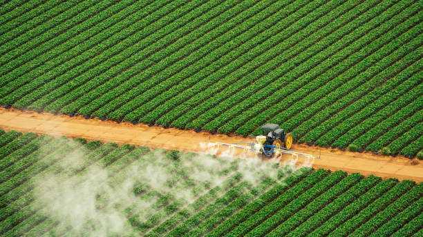 Best Pest Removal Services  in Fairbury, NE