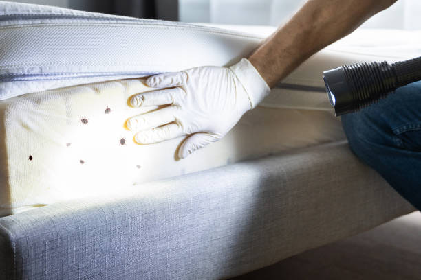 Best Exterminator Services  in Fairbury, NE