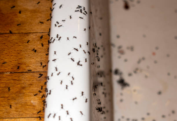 Pest Control Cost in Fairbury, NE