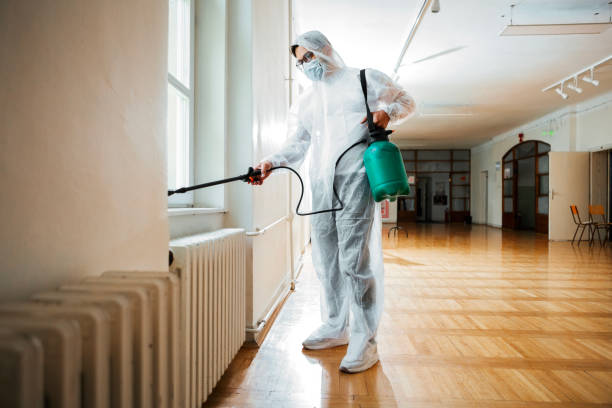 Reliable Fairbury, NE Pest Control Solutions
