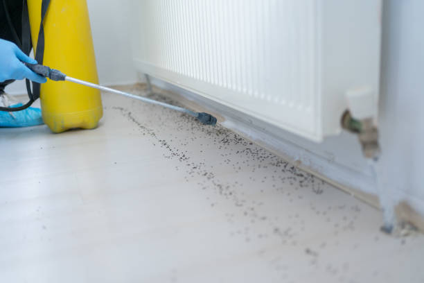 Best Pest Inspection Near Me  in Fairbury, NE