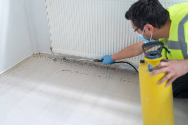 Best Emergency Pest Control  in Fairbury, NE
