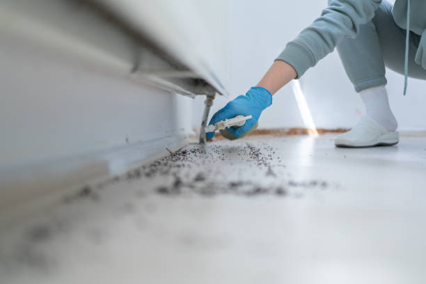 Best Best Pest Control Companies  in Fairbury, NE